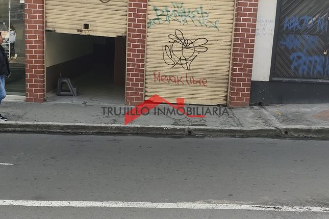 Picture of the author