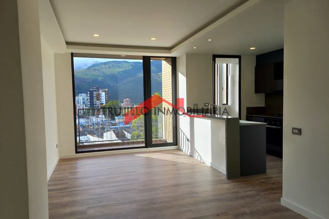 Picture of the author